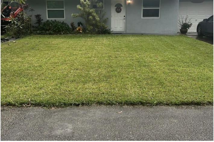 Sod Installation project photo 3