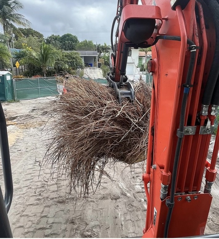 Tree, Hedge, & Stump Removal project photo 5