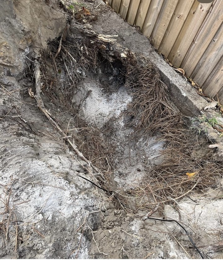Tree, Hedge, & Stump Removal project photo 6