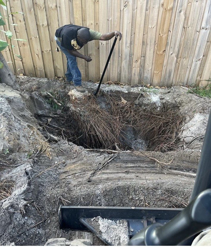 Tree, Hedge, & Stump Removal project photo 4